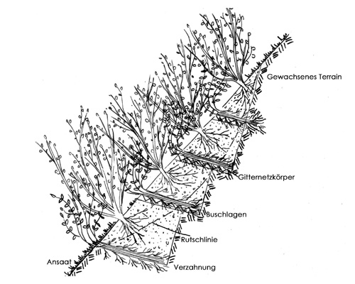 Gewachsenes Terrain