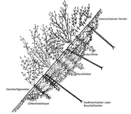 Steckhölzer, Gitterkörper