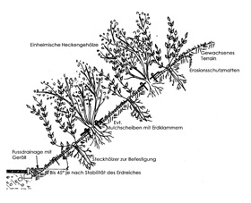 Schnitt Hangverbau